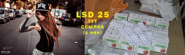 прущие грибы Протвино