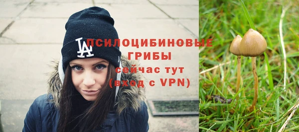 синтетический гашиш Балахна