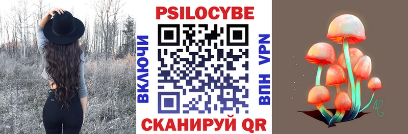 цены наркотик  Куровское  Галлюциногенные грибы Psilocybe 